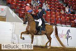 14buck_1768 proof
