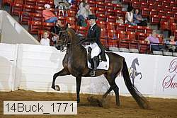 14buck_1771 proof