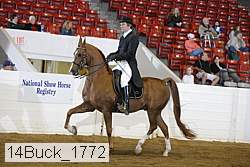 14buck_1772 proof