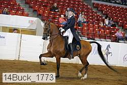14buck_1773 proof