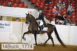 14buck_1774 proof