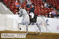 14buck_1777 proof