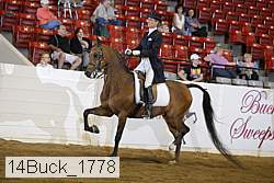 14buck_1778 proof