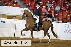 14buck_1781 proof