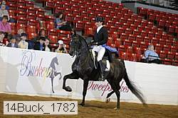14buck_1782 proof