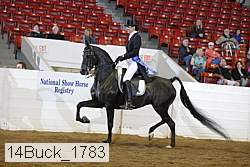 14buck_1783 proof
