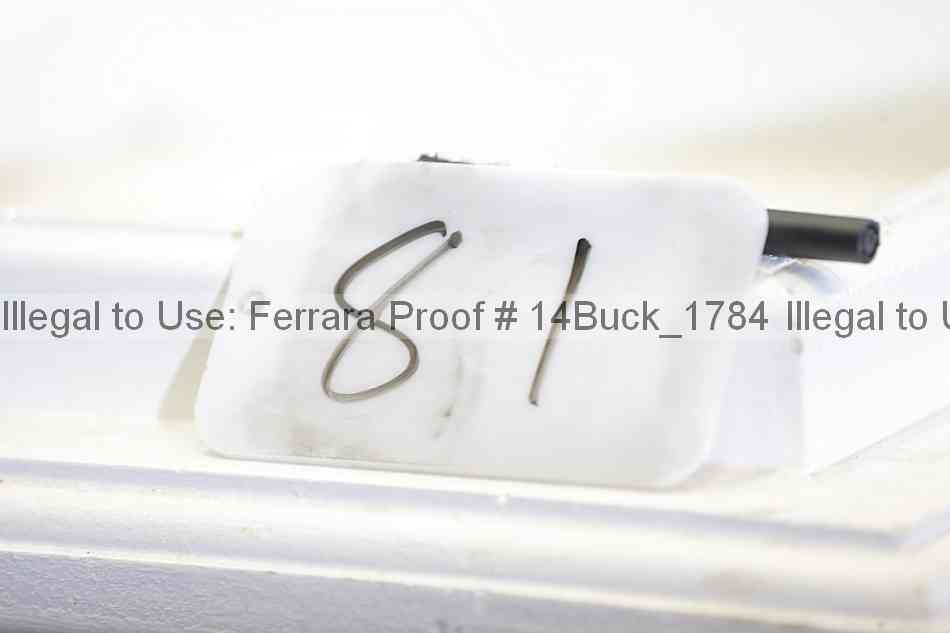 Proof 14buck_1784