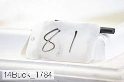 14buck_1784 proof