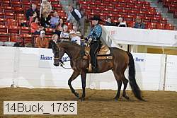14buck_1785 proof