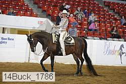 14buck_1786 proof