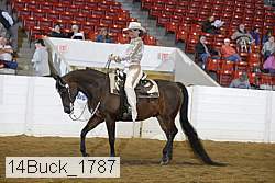 14buck_1787 proof