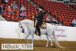 14buck_1788 proof