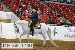 14buck_1789 proof