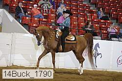 14buck_1790 proof