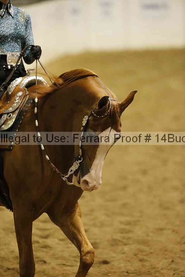 Proof 14buck_1794