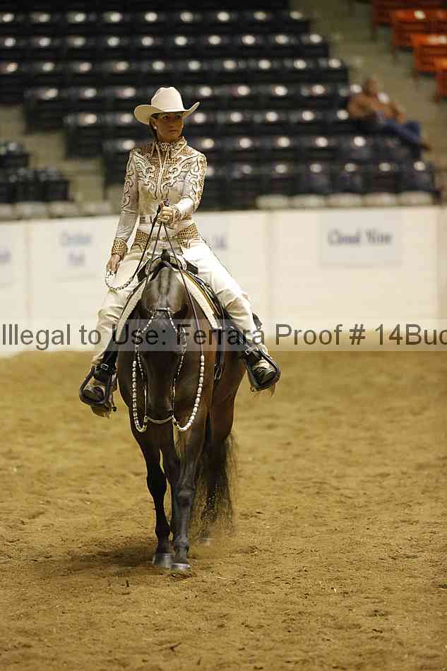 Proof 14buck_1795