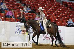 14buck_1797 proof