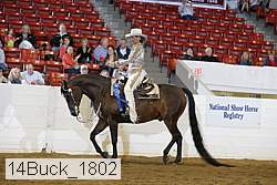 14buck_1802 proof