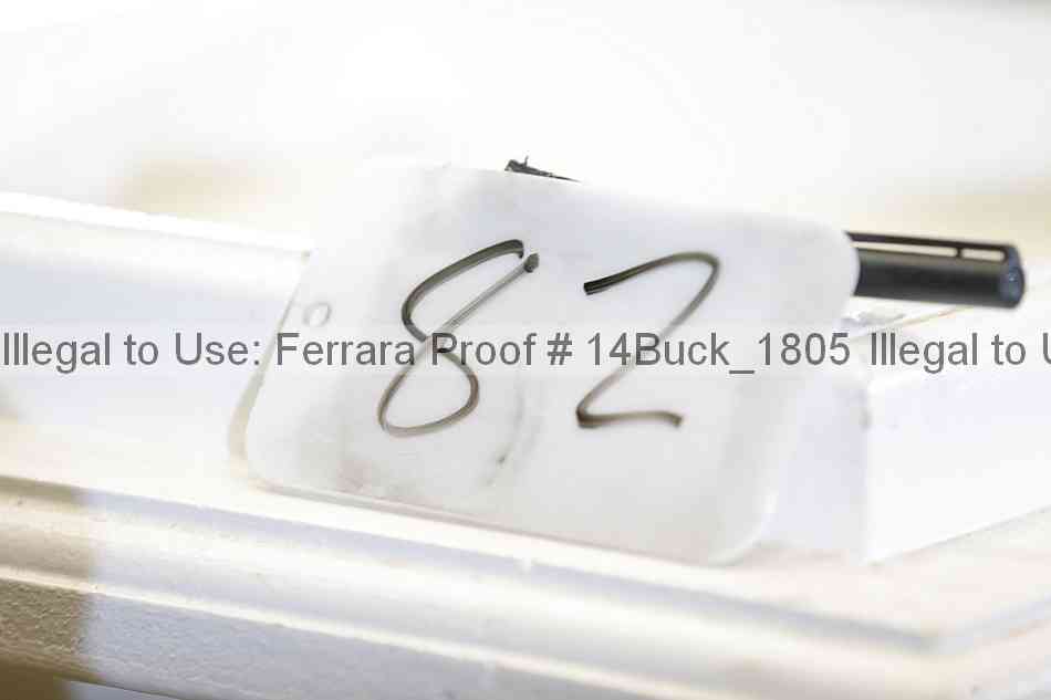 Proof 14buck_1805