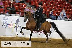 14buck_1806 proof