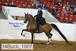 14buck_1807 proof