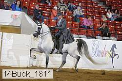14buck_1811 proof