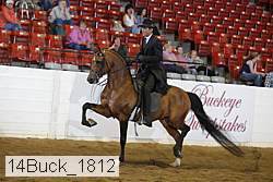 14buck_1812 proof