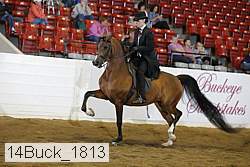 14buck_1813 proof