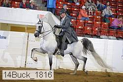 14buck_1816 proof
