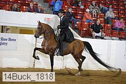 14buck_1818 proof