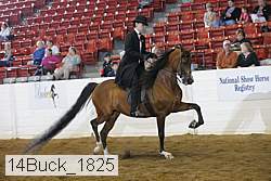 14buck_1825 proof
