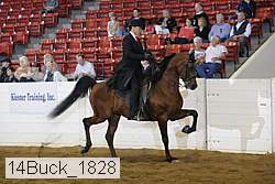 14buck_1828 proof