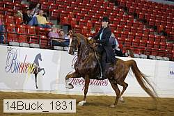 14buck_1831 proof