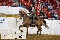 14buck_1833 proof