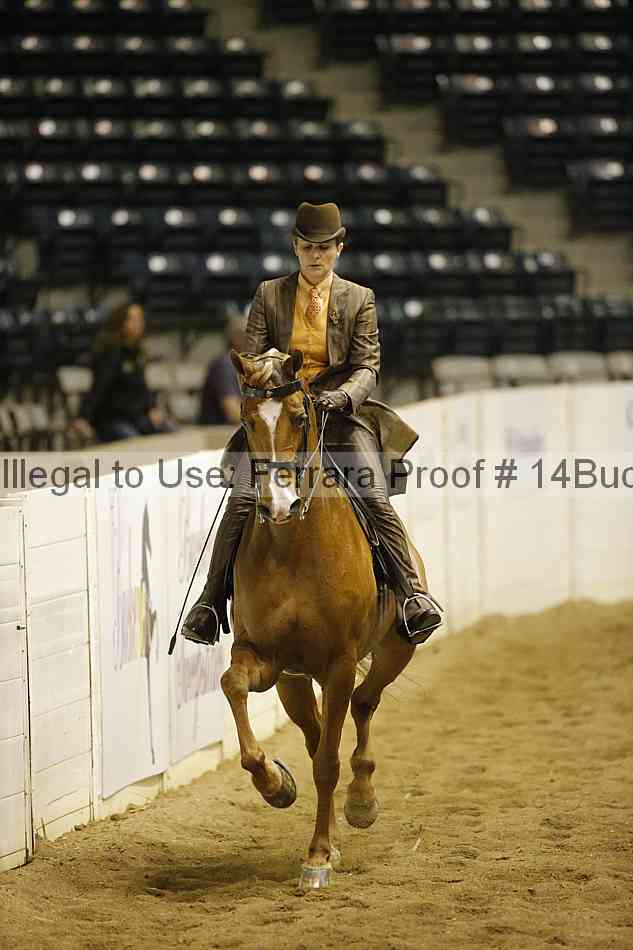 Proof 14buck_1836