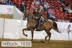 14buck_1839 proof