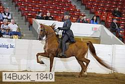 14buck_1840 proof