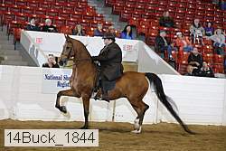 14buck_1844 proof