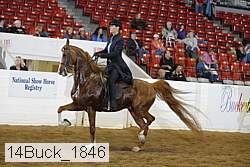 14buck_1846 proof