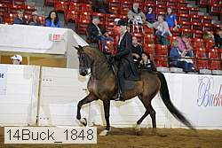 14buck_1848 proof