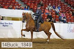 14buck_1849 proof