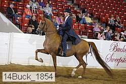 14buck_1854 proof