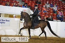 14buck_1862 proof