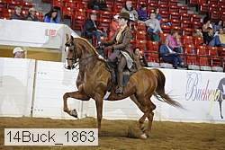 14buck_1863 proof