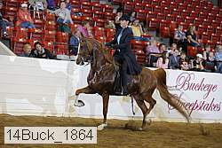 14buck_1864 proof
