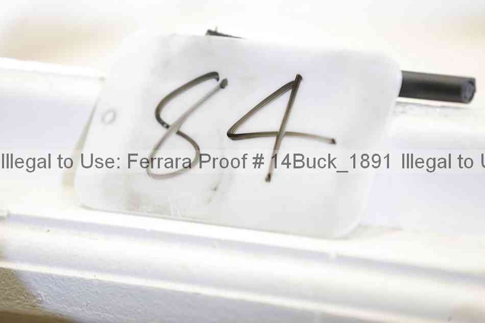Proof 14buck_1891