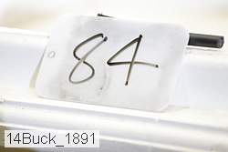 14buck_1891 proof