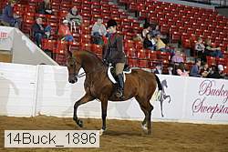 14buck_1896 proof