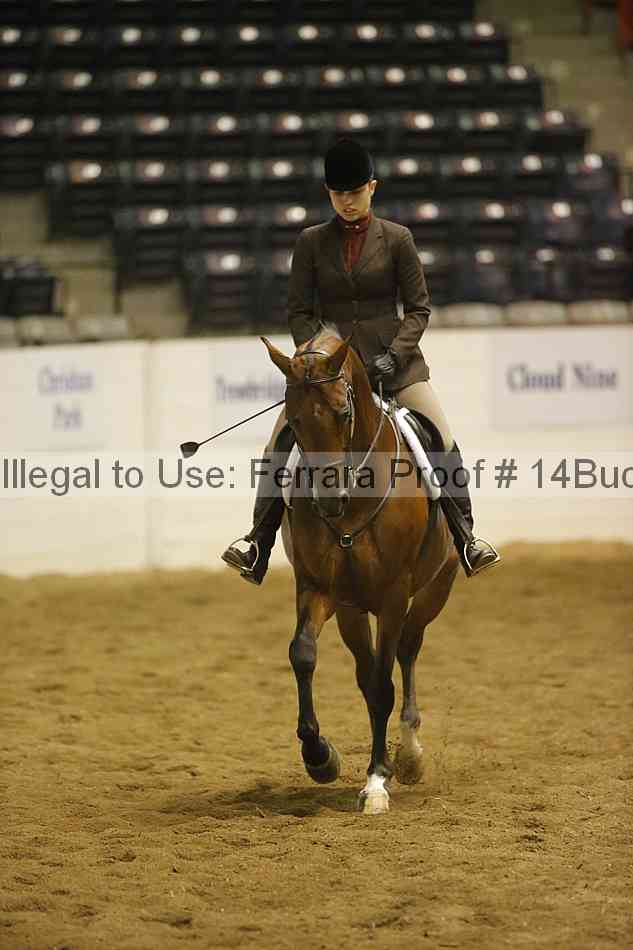 Proof 14buck_1898