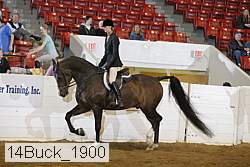 14buck_1900 proof